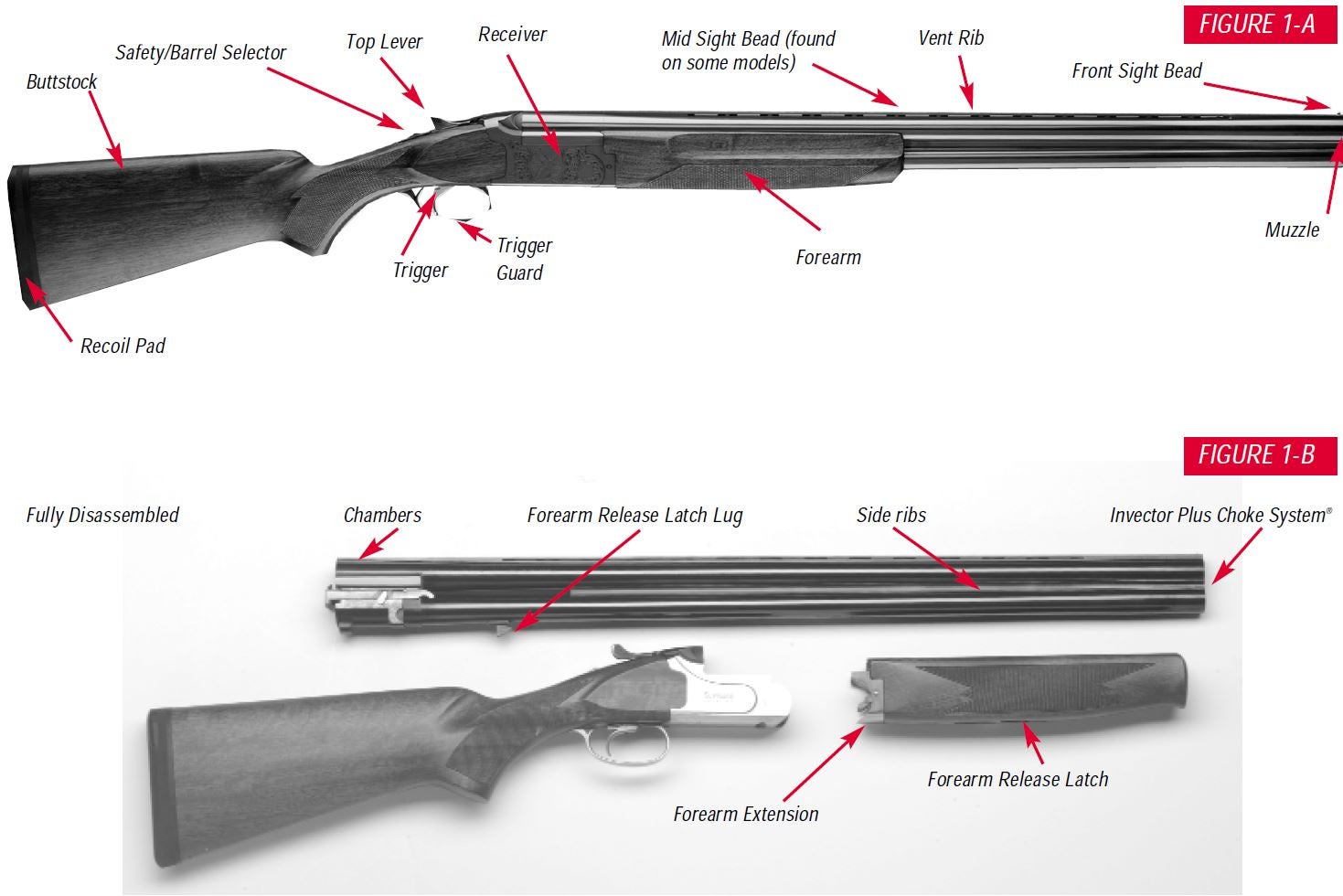 Supreme Shotgun Diagram Figure 1A and 1B
