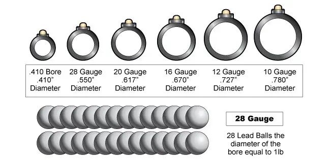 Shotgun Gauge Guide