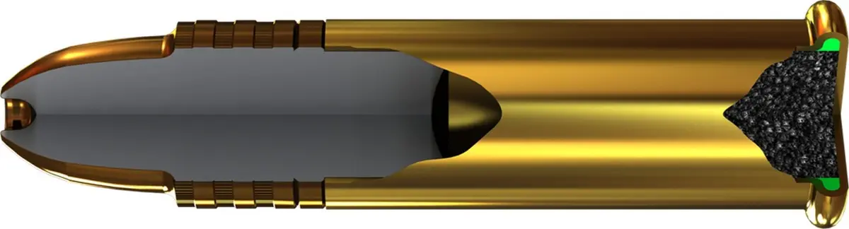 22 LR Rimfire Cartridge