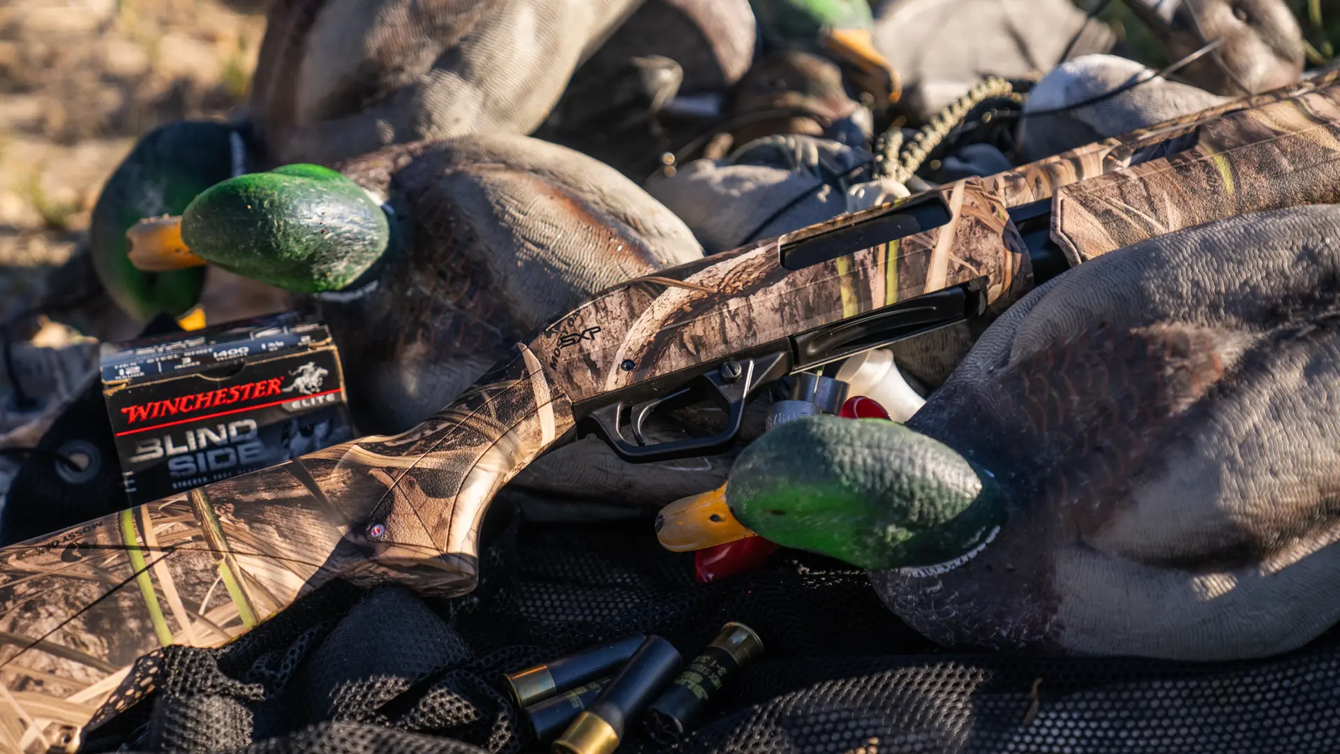 SXP waterfowl on decoys