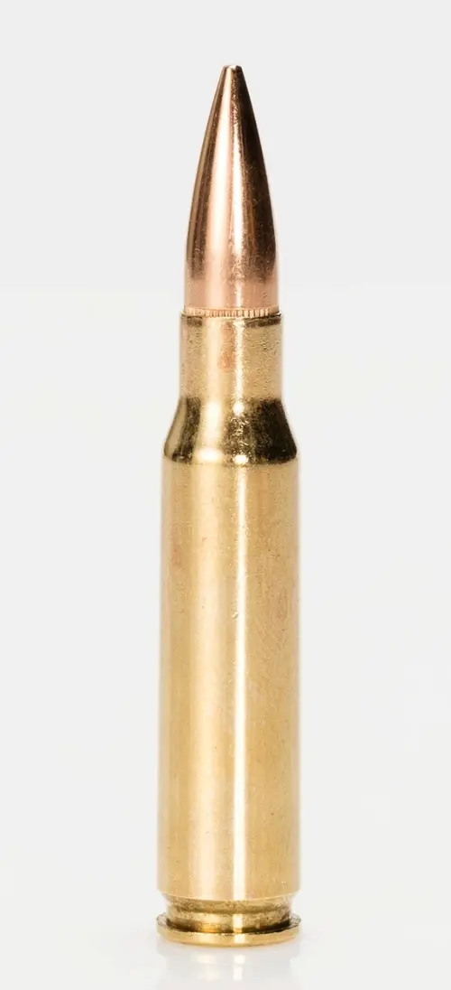 .308 Winchester