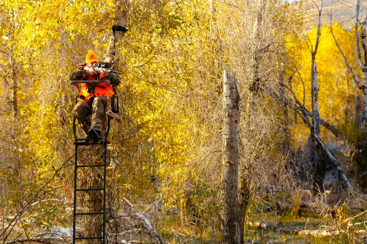 Tree Stand Hunter with XPR