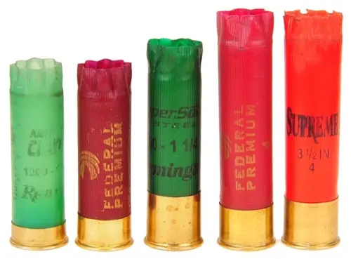 Shotgun Shells