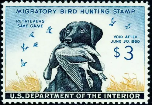 Migratory Bird Hunting Stamp