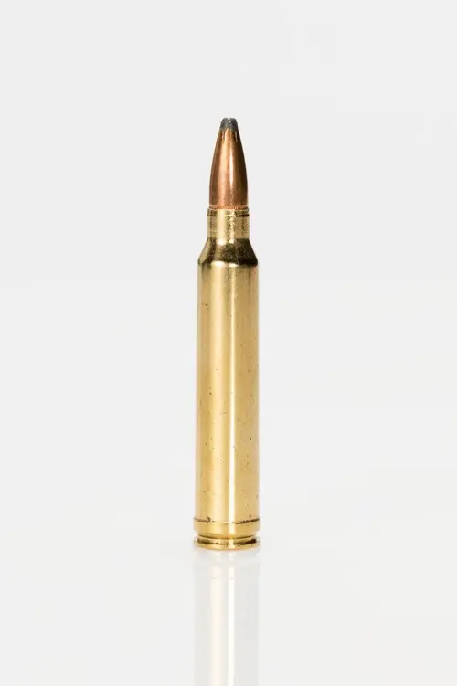 300 Winchester Magnum cartridge