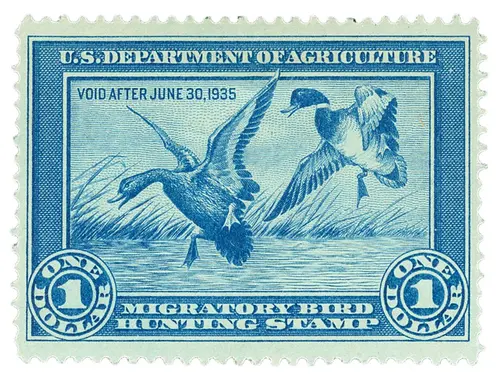 Migratory Bird Hunting Stamp