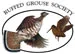 Ruffed Grouse Society Logo